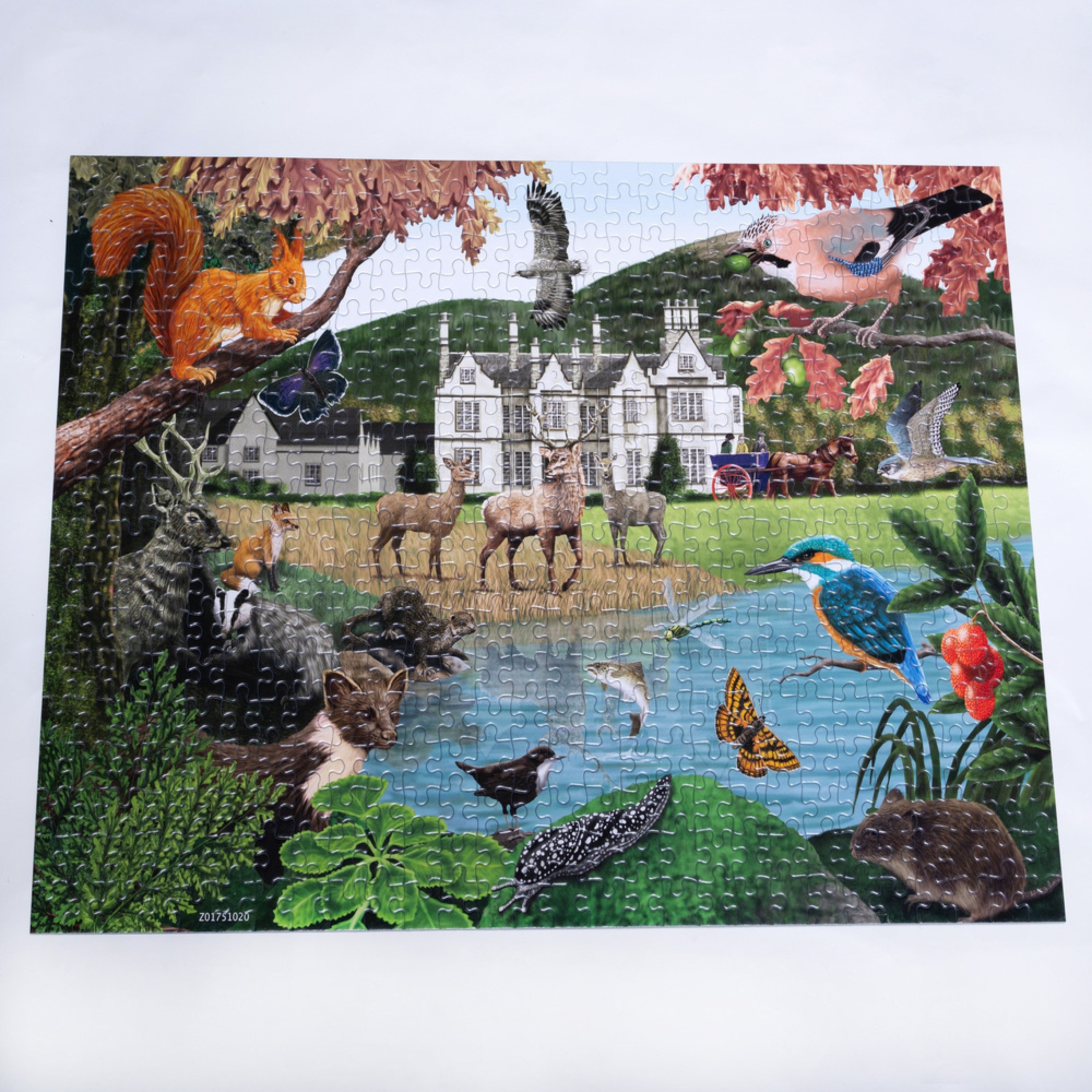 Killarney 500 piece jigsaw puzzle