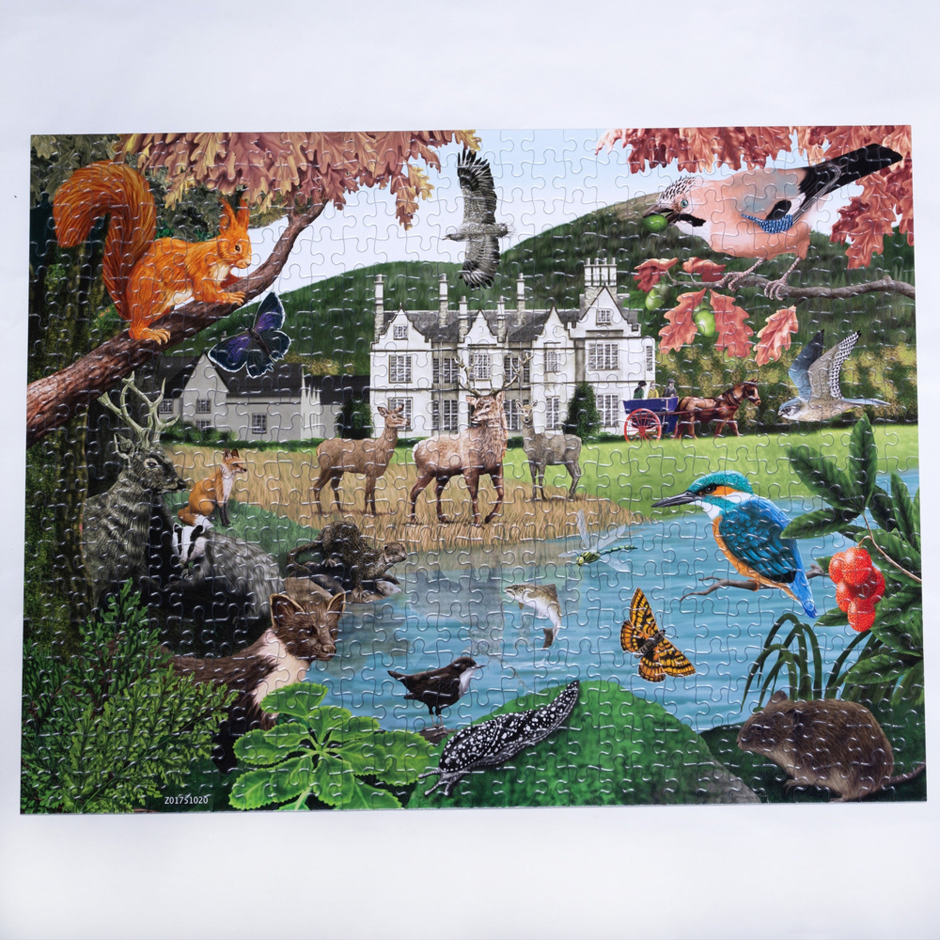 Killarney 500 piece jigsaw puzzle