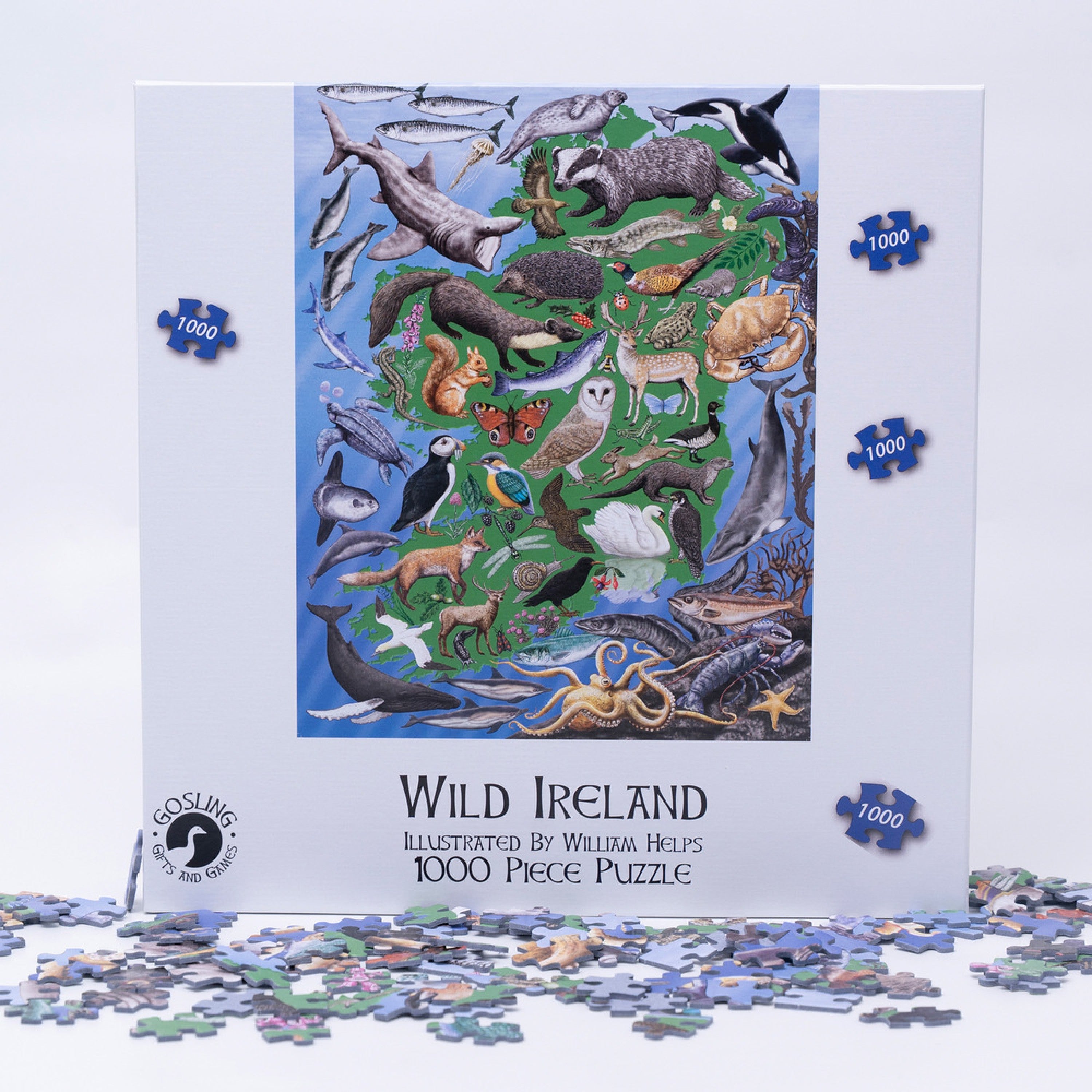 Wild Ireland 1000 piece jigsaw puzzle