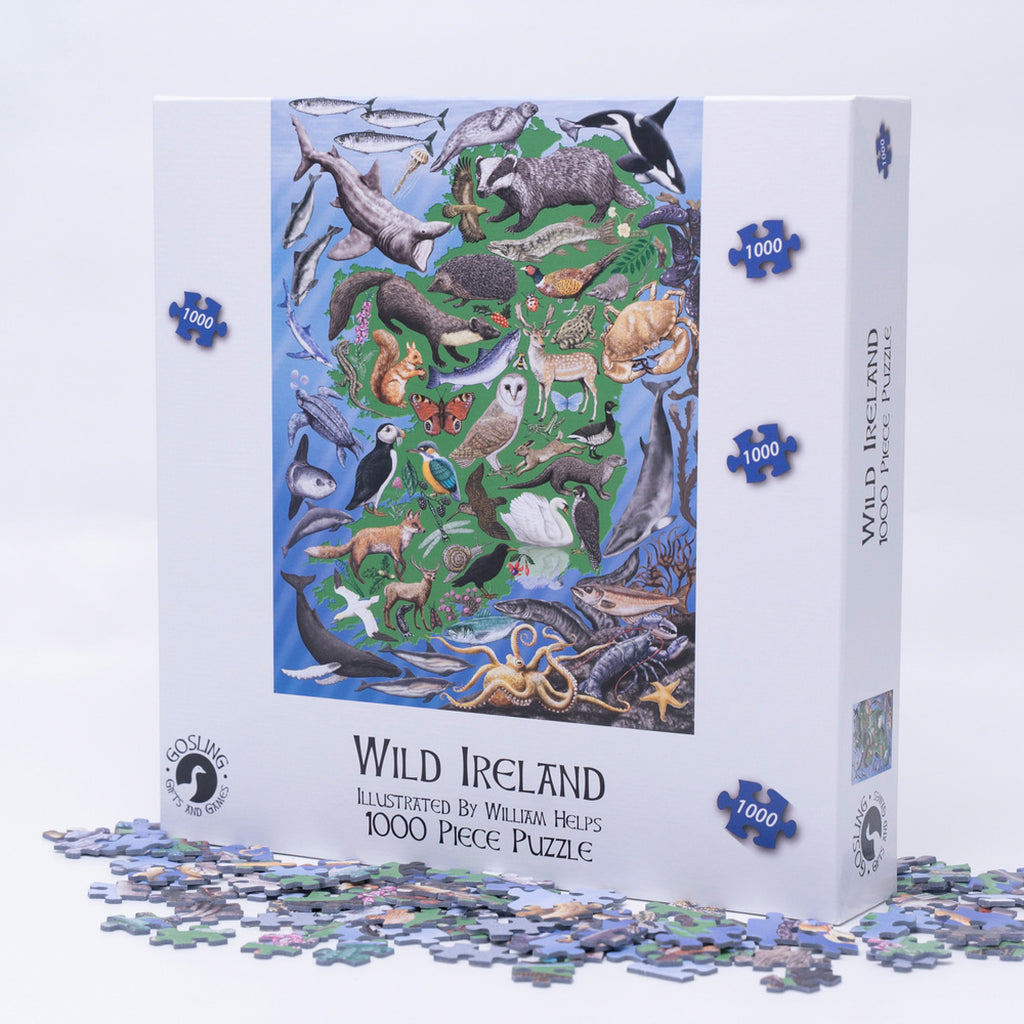 Wild Ireland 1000 piece jigsaw puzzle
