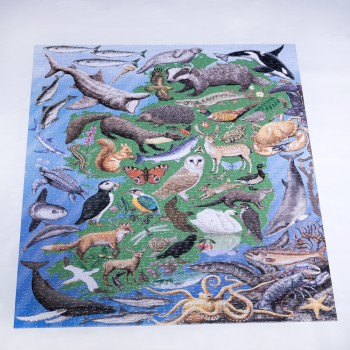 Wild Ireland 1000 piece jigsaw puzzle